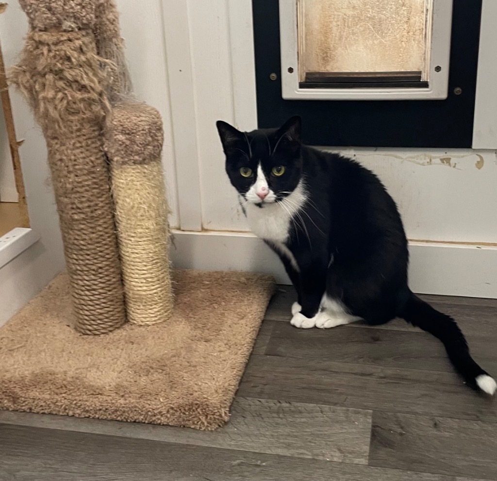 Otis