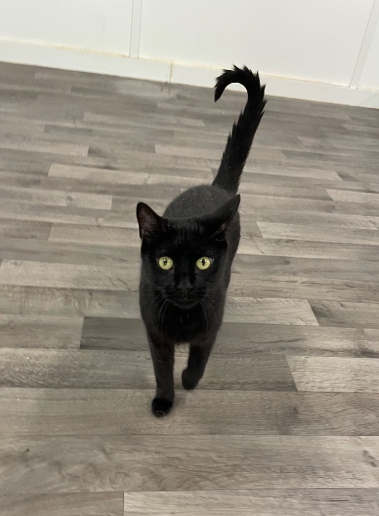 Leeloo