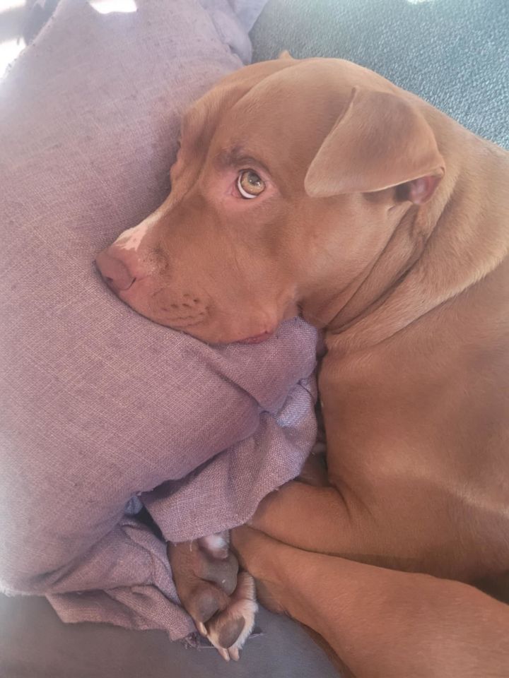 Stormi 3