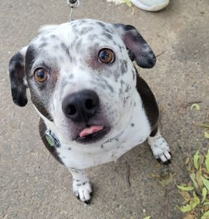 Coco