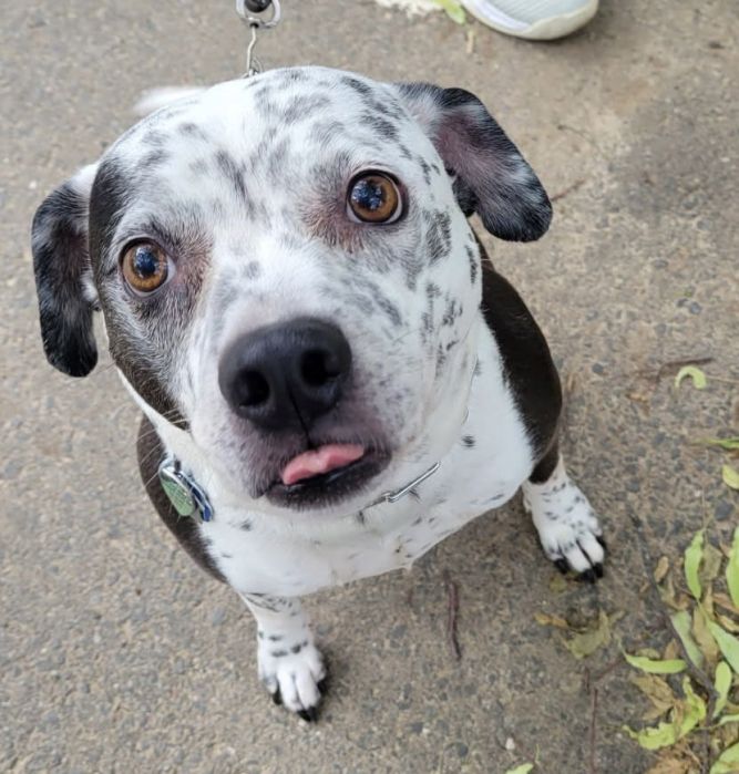 Coco