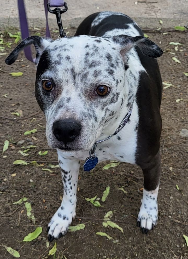 Coco 3