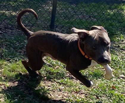 Zeus