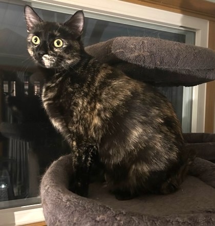 Lucy