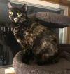 Lucy photo 1