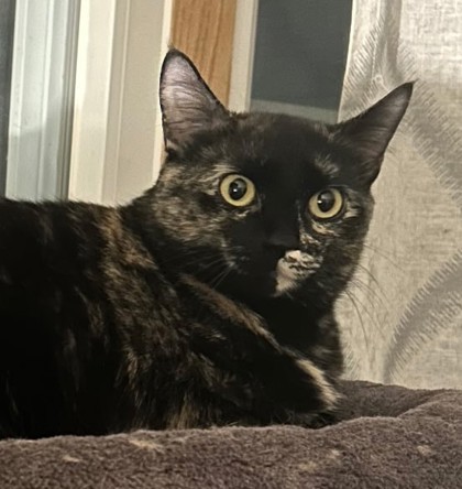 Lucy