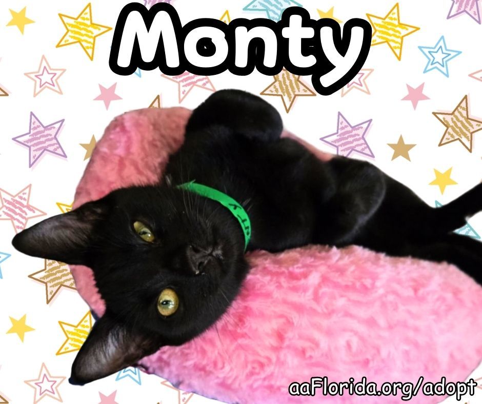 Monty