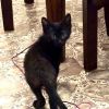 Axel photo 3
