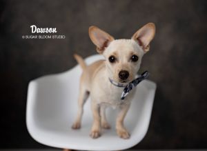 Dawson, Baby Male unknown