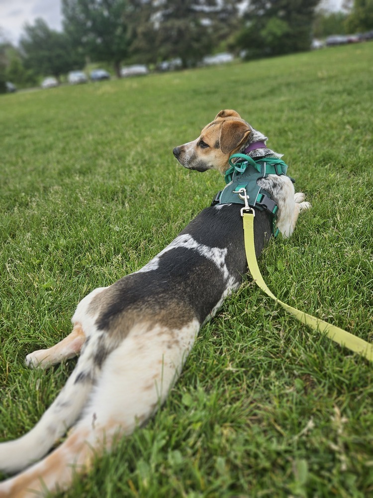 NORA