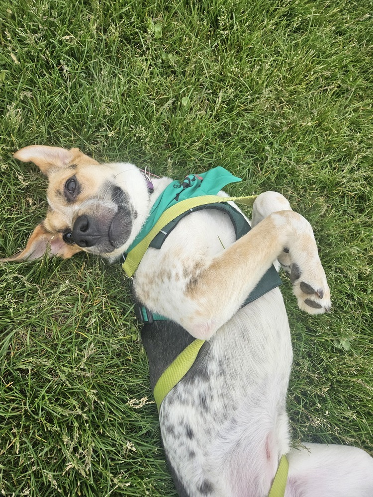 NORA