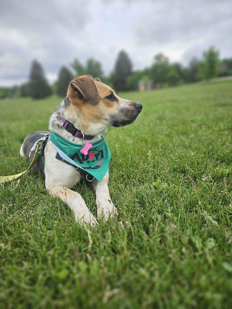 NORA