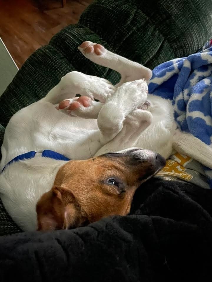 Duke
