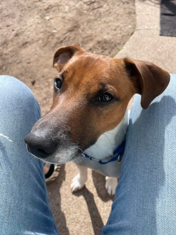 Duke