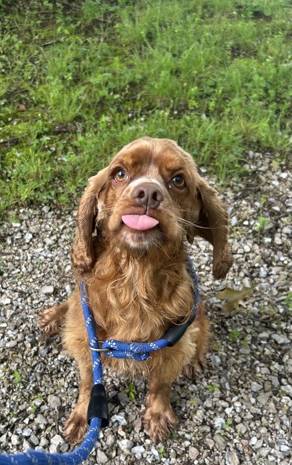 Luke