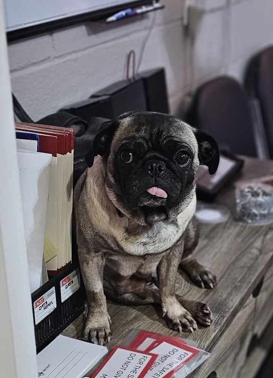 April aka Fiona