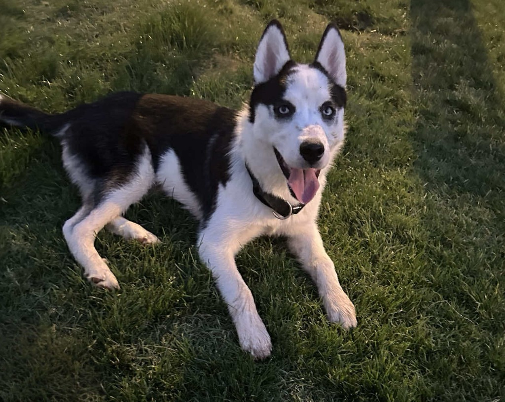 Emmie