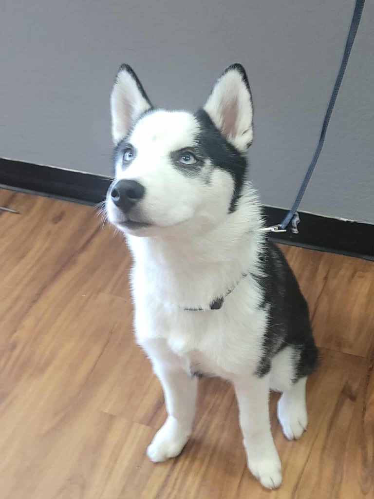 Emmie