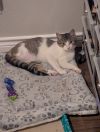 Millie photo 3