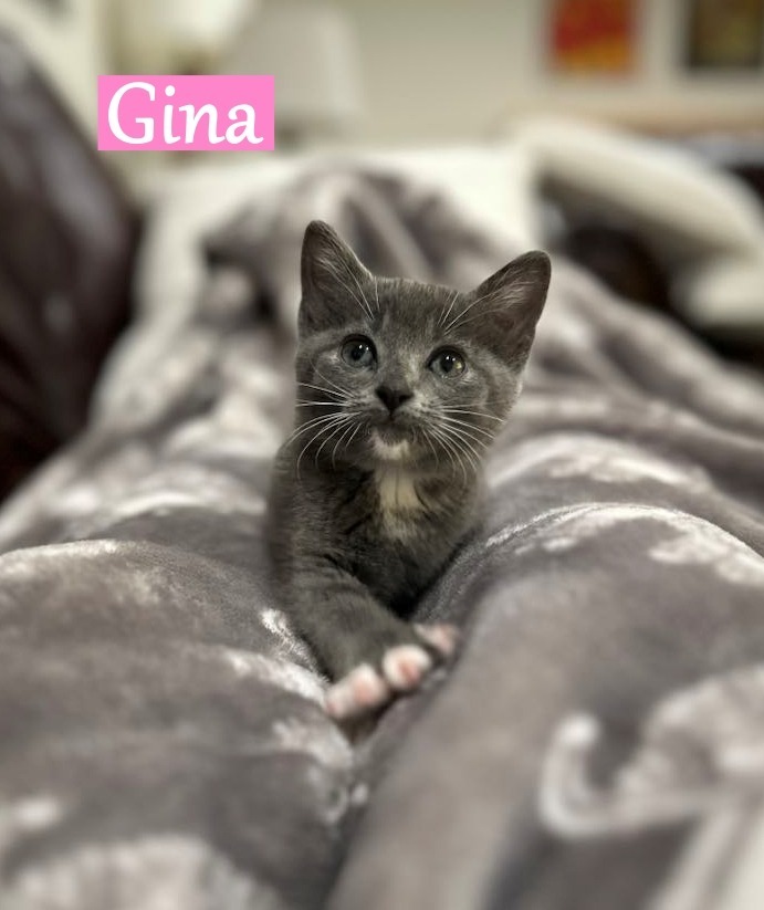 Gina