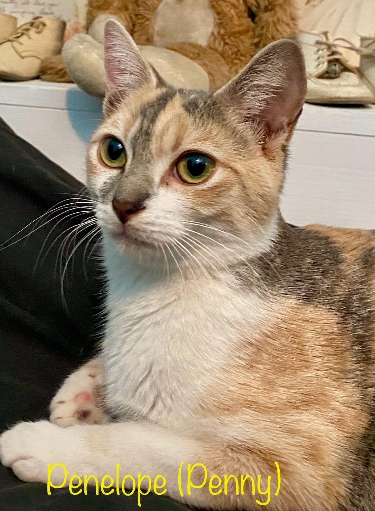 Penelope
