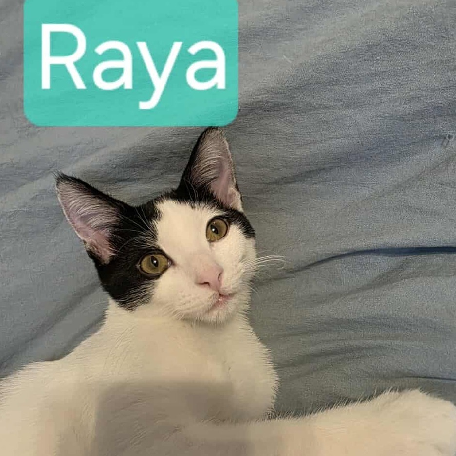 Raya