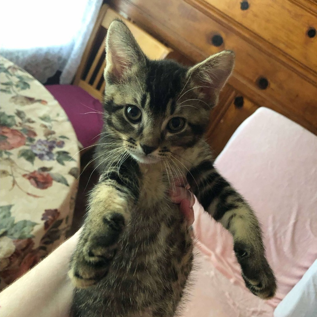 Jem