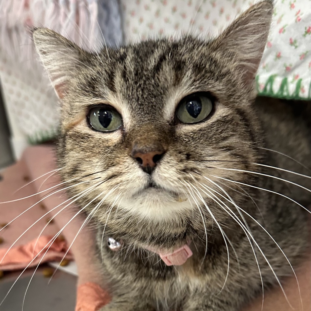 Old Lady Kiki