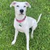 Maggie Waggie photo 6