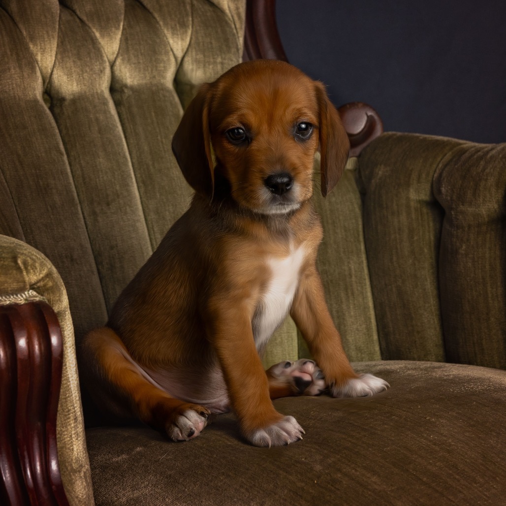 Charlie