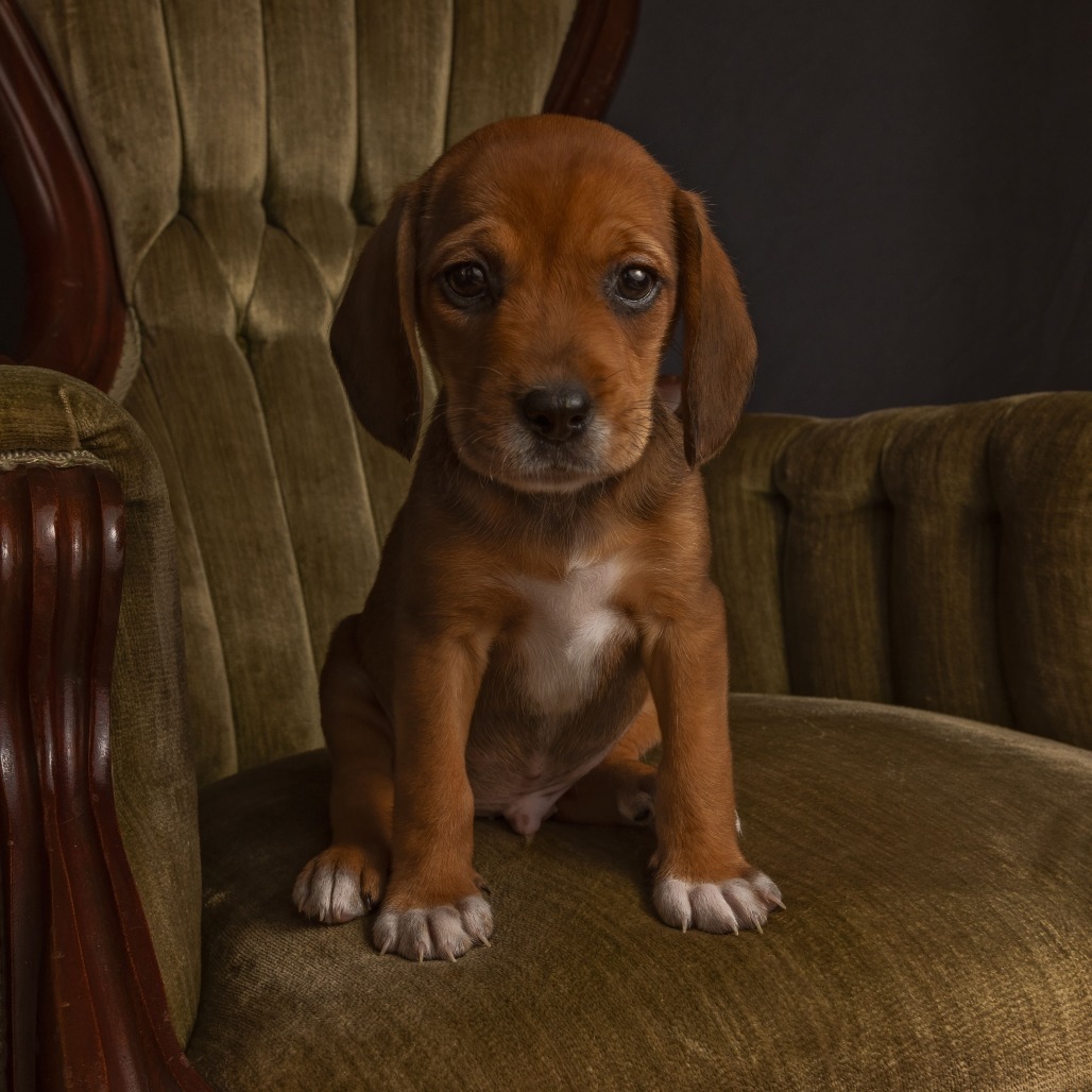 Charlie