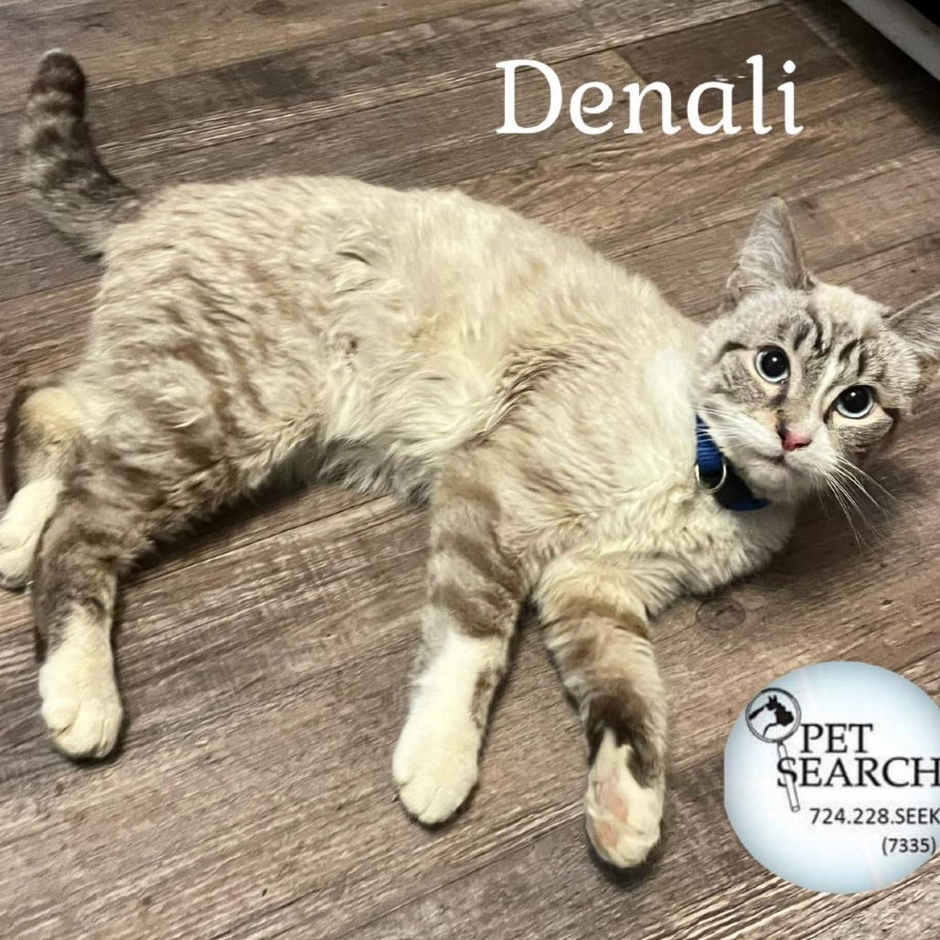 Denali