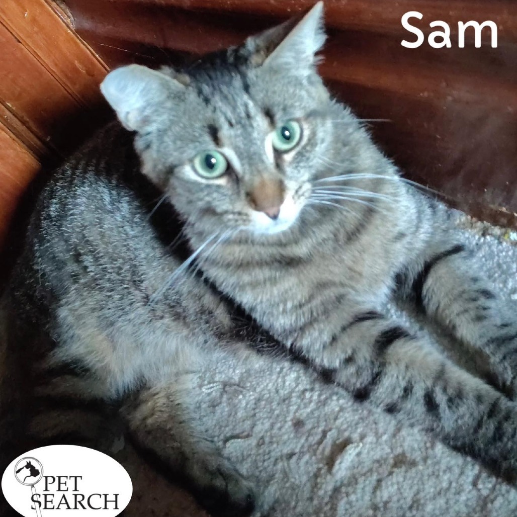 Sam
