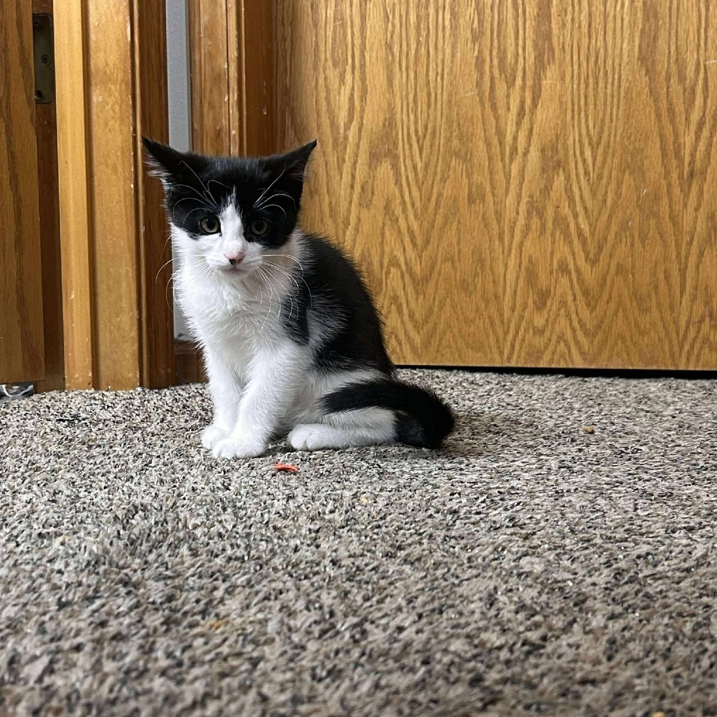 Fiona