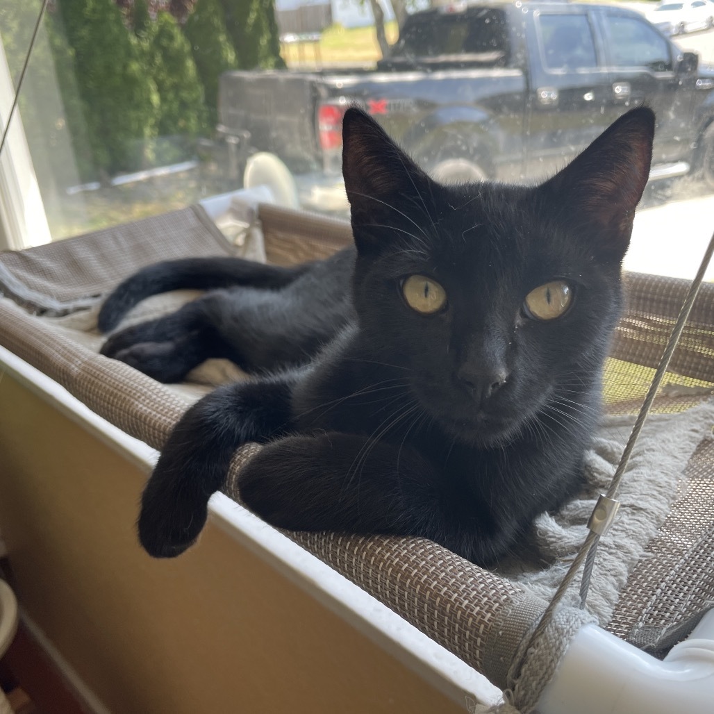 Spooky (aka Larry)
