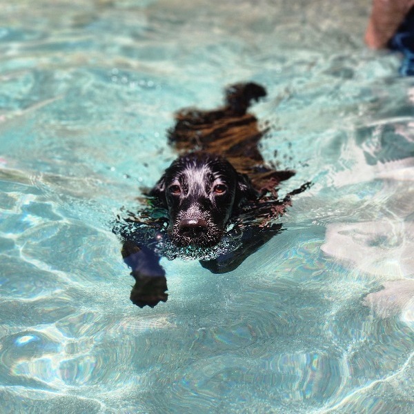 Tuffy - thumbnail 5