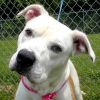 Francie photo 1