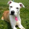 Francie photo 2