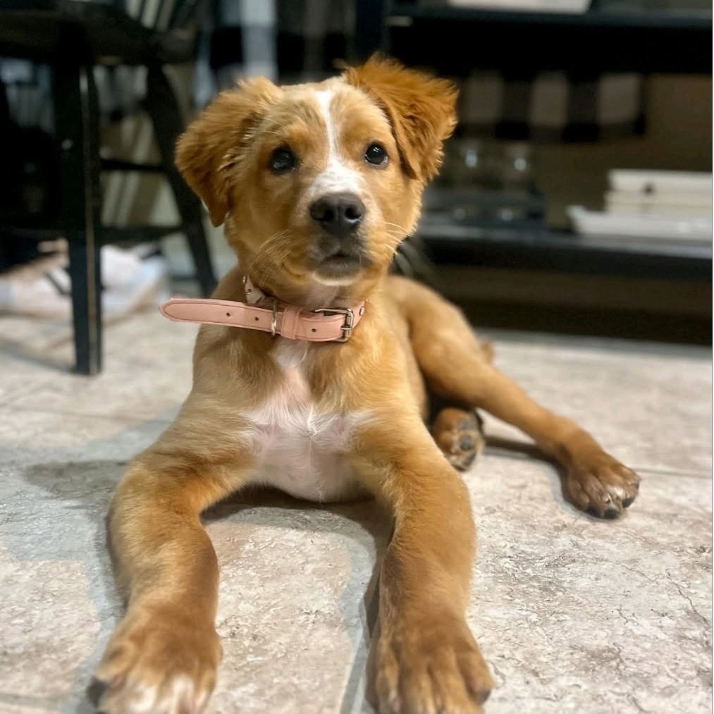 Max