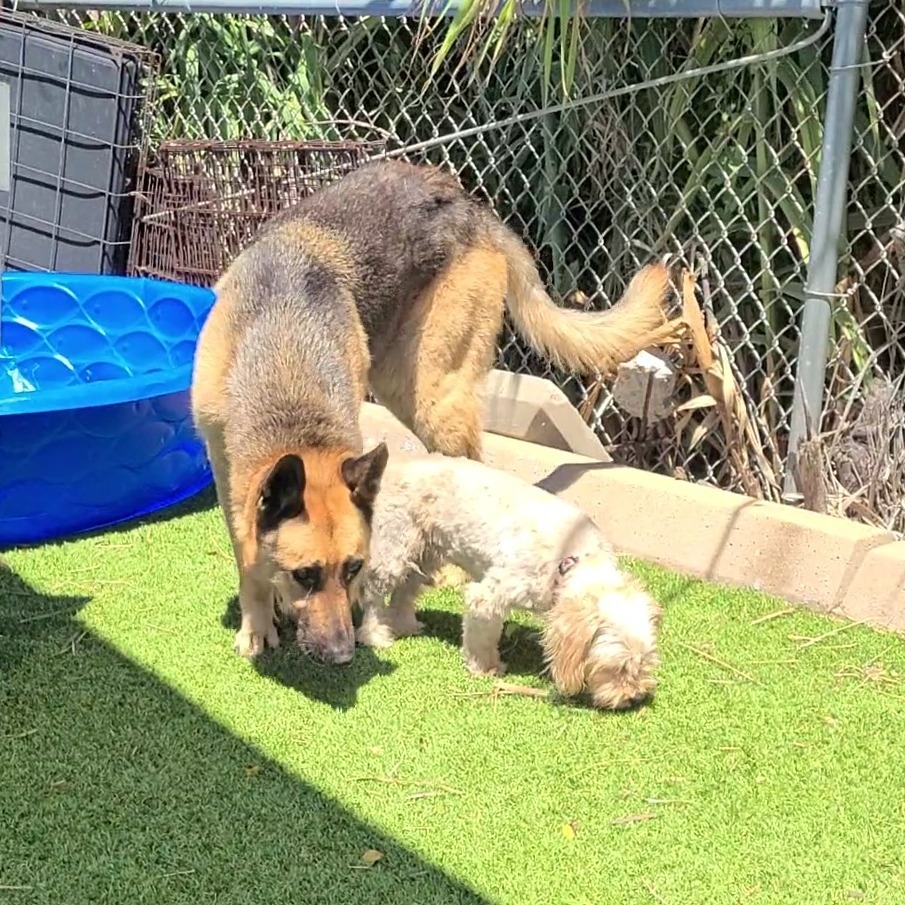 Zeus