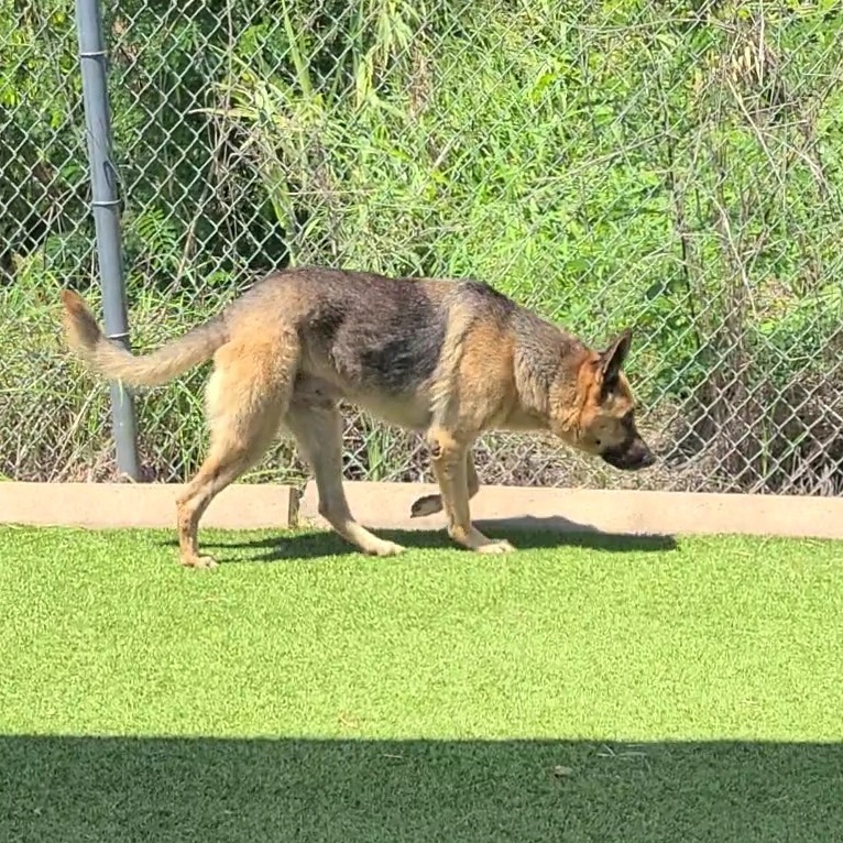 Zeus