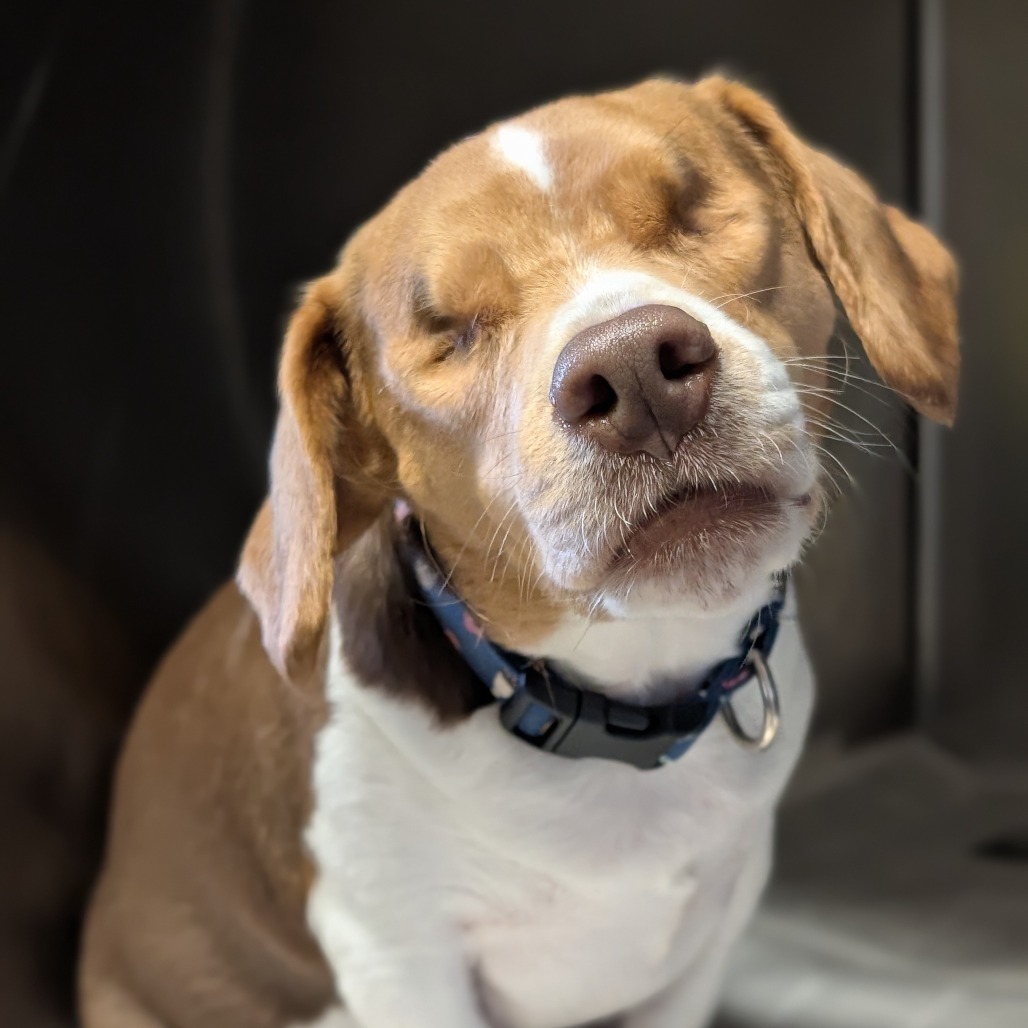 Dixie **Off-Site Foster Home**