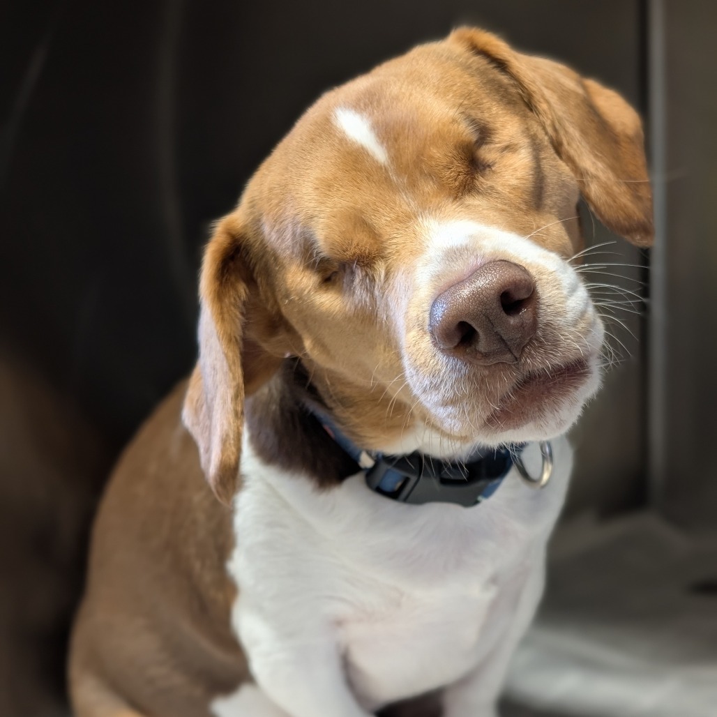 Dixie **Off-Site Foster Home**