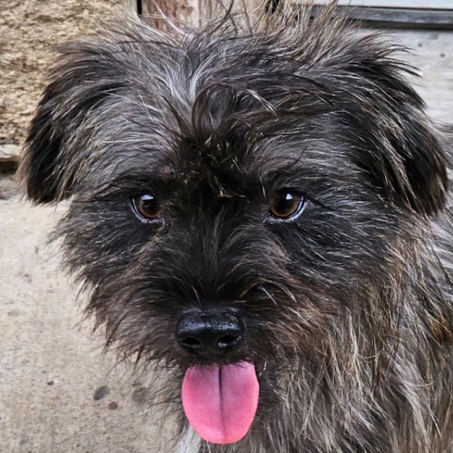 Toto