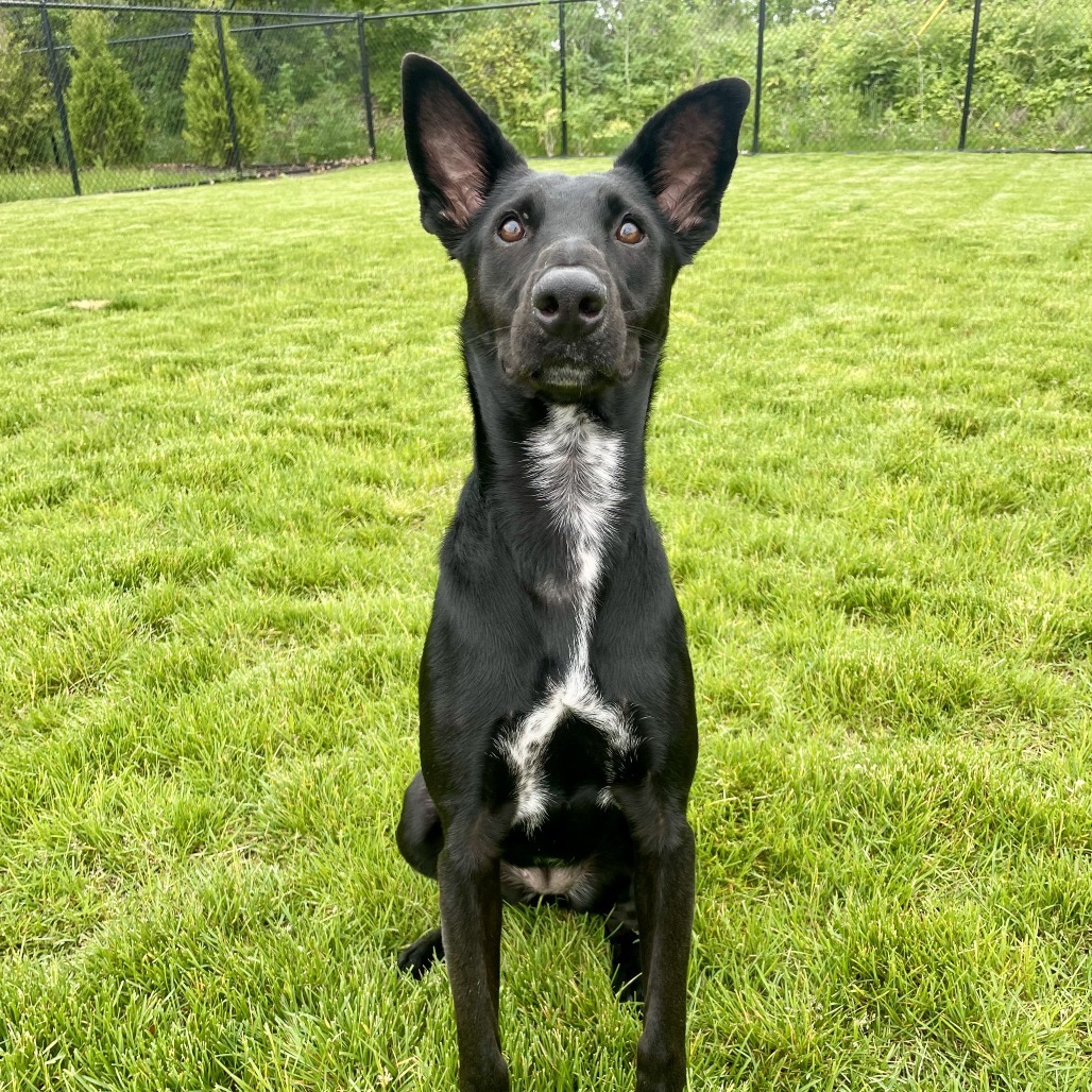 Mia