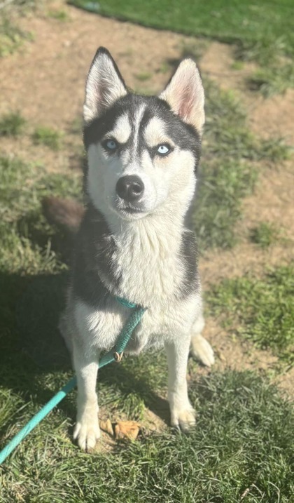 Luna