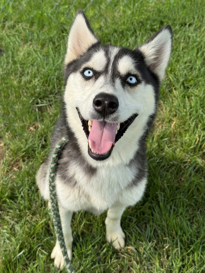 Luna