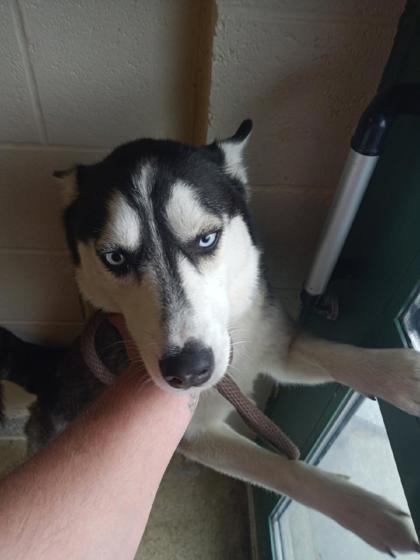 Luna