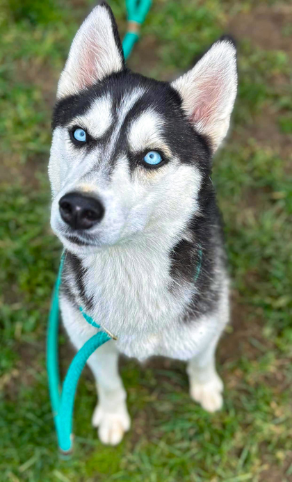 Luna