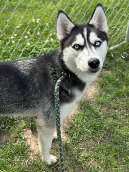 Luna